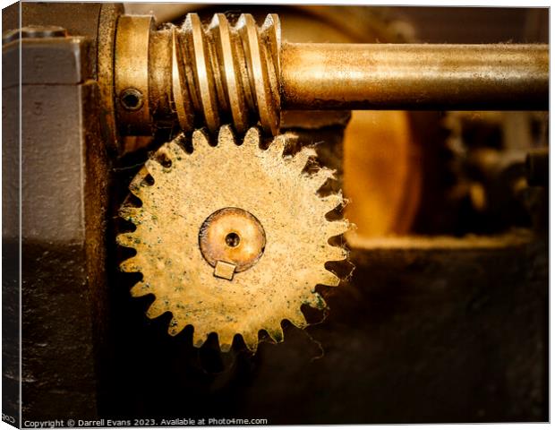 Worm Gears Canvas Print by Darrell Evans