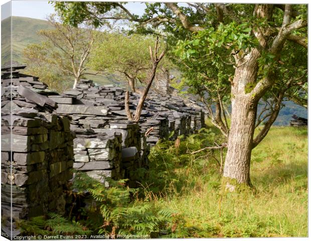 Slate homes Canvas Print by Darrell Evans