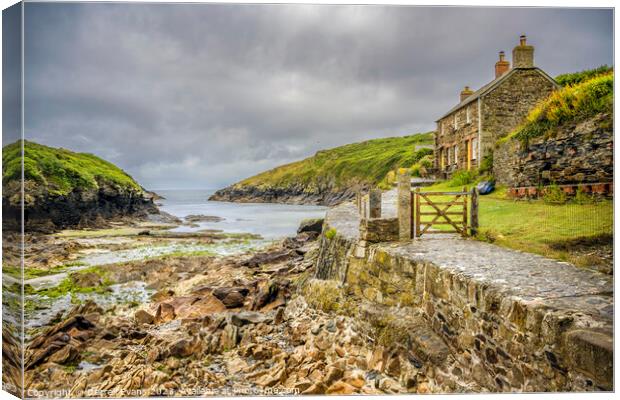 Life on the Shore Canvas Print by Darrell Evans