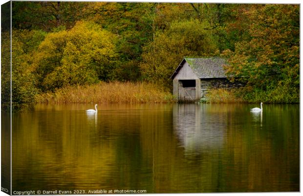 Swans and Boathouse Canvas Print by Darrell Evans