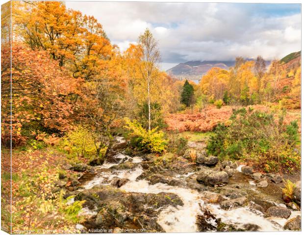 Ashness to Keswick in Autumn Canvas Print by Darrell Evans