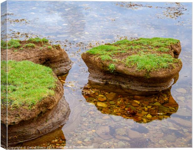 Muddy Heart Canvas Print by Darrell Evans