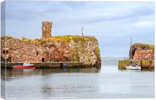 Harbour at Dunbar Canvas Print by Darrell Evans