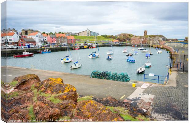 Dunbar Harbour Canvas Print by Darrell Evans