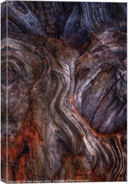 bark study 5 Canvas Print by Alan Ranger