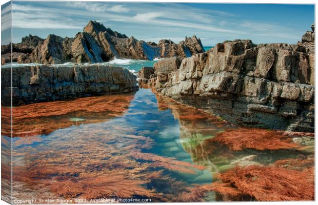 atlantic forest Canvas Print by Alan Ranger