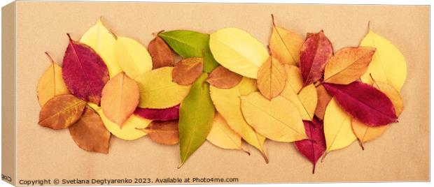 Colourful autumn dry leaves Canvas Print by Lana Topoleva