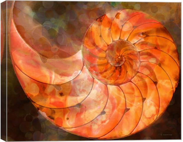 Orange Nautilus Shell Canvas Print by Sharon Cummings