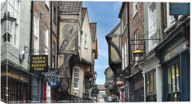 The Shambles - An Alternate Perspective  Canvas Print by Thomson Duff