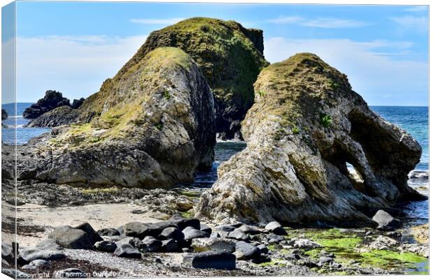 Ballintoy, Co. Antrim, Northern Ireland  Canvas Print by Thomson Duff