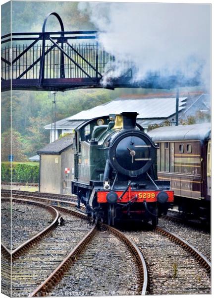 Steam train Kingswear Canvas Print by Thomson Duff