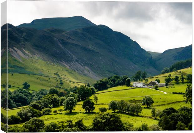 Sunny view of the Newlands Valley, Lake District, Cumbria Canvas Print by Chris Mann