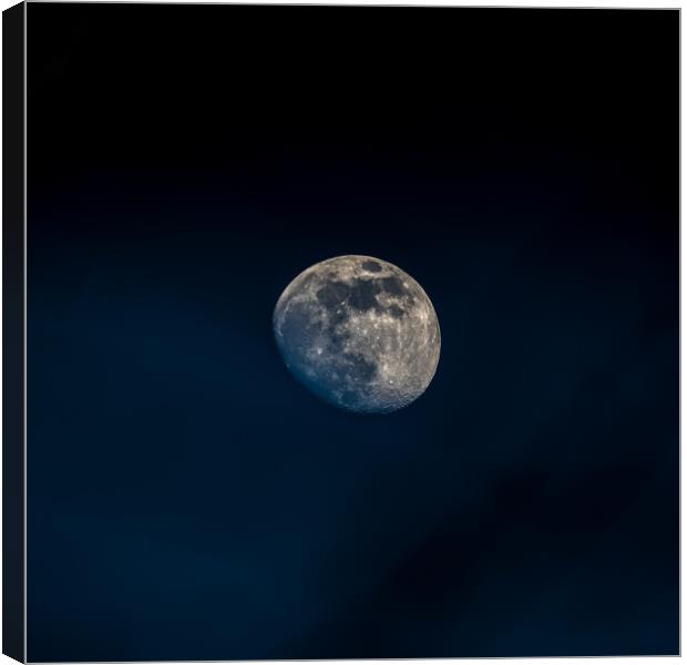Moon on a blue night  Canvas Print by Martyn Large