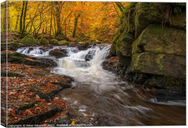 Birks of Aberfeldy Canvas Print by Peter Paterson