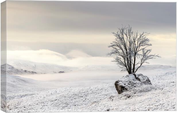 Misty Snow Scene looking towards Loch Tulla Scotla Canvas Print by Peter Paterson