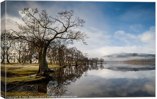 Sunny Loch Ard Canvas Print by Peter Paterson