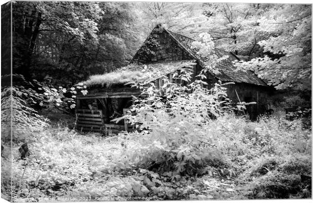 Old woodshed in Forest Canvas Print by Peter Paterson