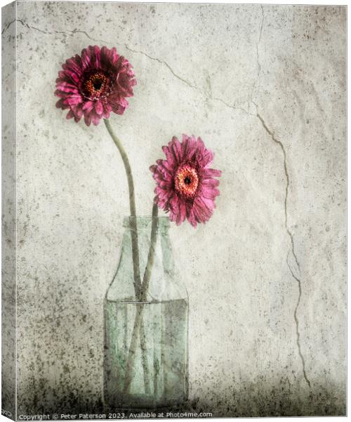 Two Flowers in Bottle Canvas Print by Peter Paterson