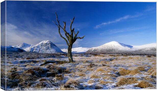 Dead Tree on Rannoch Moor Canvas Print by Peter Paterson
