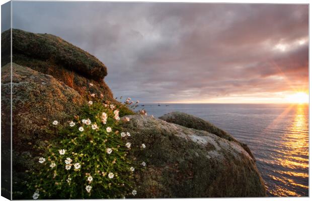 Serene Sunset over Lands End Canvas Print by Matthew Grey