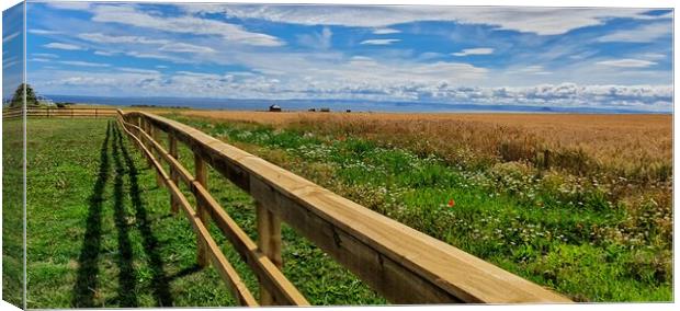 Fields of Anstruther Canvas Print by Lowercase b Studio 