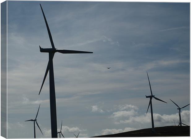 Turbines and Kestrel Canvas Print by Dave Menzies