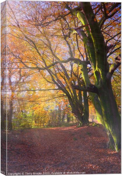 Autumnal Forest Sun Rays Wall Art Print Framed or Unframed – Vibrant Colors Sun Rays and Fine Details for Nature Lovers Canvas Print by Terry Brooks