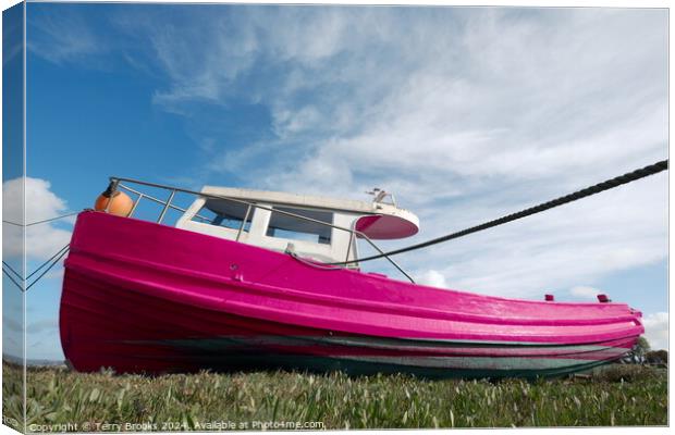 Old Pink Boat Penclawdd Gower Canvas Print by Terry Brooks