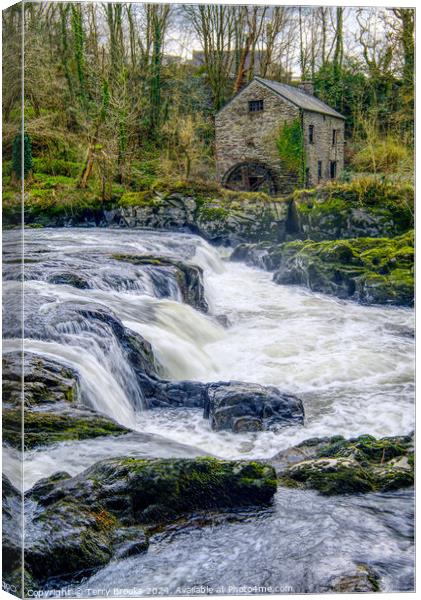 Cenarth Waterfall and Flour Mill Canvas Print by Terry Brooks