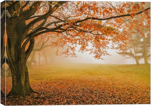 Autumn in Locke Park, Barnsley Canvas Print by Peter Lewis
