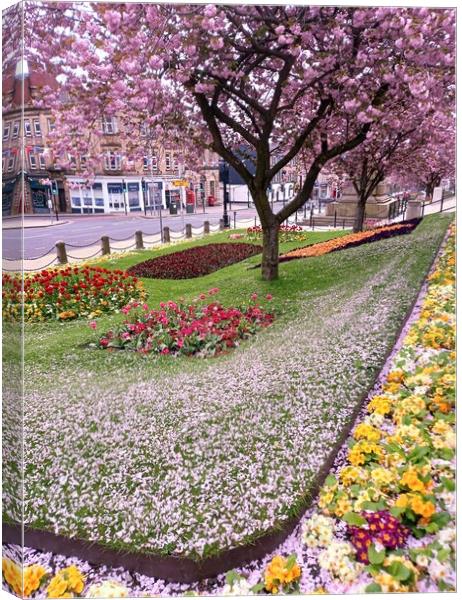 Fabulous Floral Display in Barnsley Canvas Print by Peter Lewis