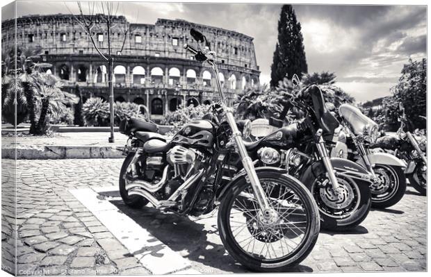 Harley 110TH Anniversary  Canvas Print by Stefano Senise