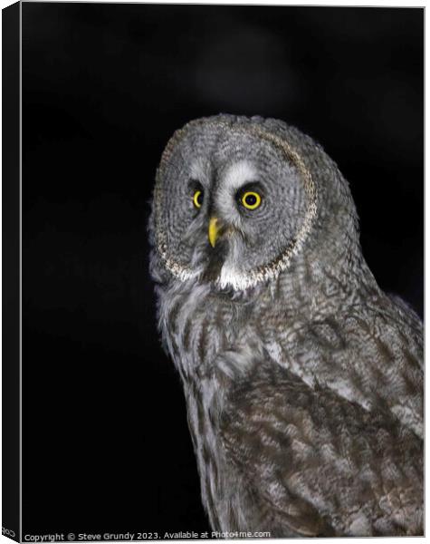 Great grey owl: A silent sentinel of the north. Canvas Print by Steve Grundy