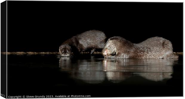 Otters at night: A river's secret dancers. Canvas Print by Steve Grundy