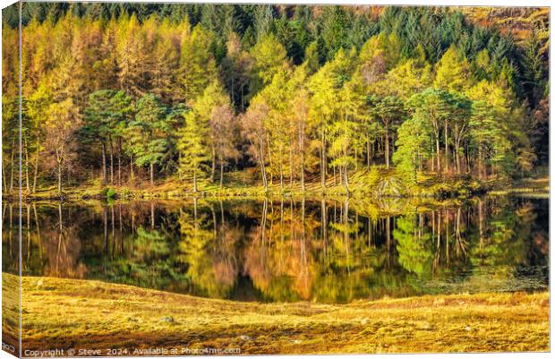 Beautiful Autumn Reflections on Blea Tarn, Lake District National Park, Cumbria Canvas Print by Steve 