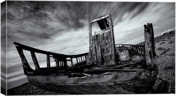 Beached Canvas Print by Tom Lloyd