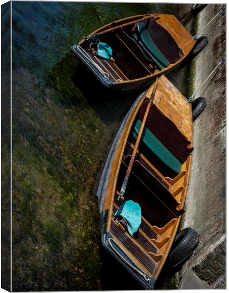 Punts Canvas Print by Tom Lloyd