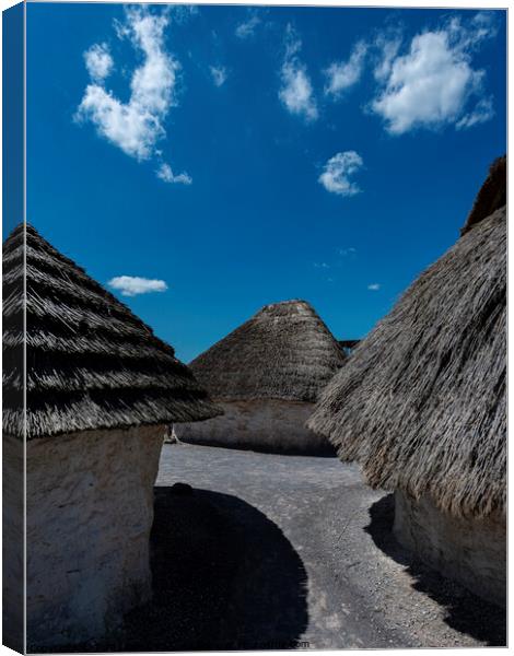 Neolithic Houses Canvas Print by Tom Lloyd
