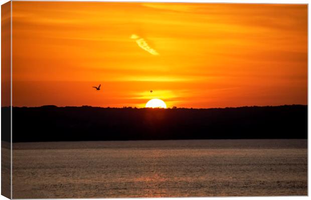 Promise of Northern Ontario Sunset Canvas Print by Irene Penhale