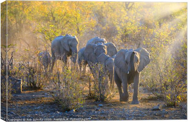 Africa elephants walk to the watering hole at sunset in Namibia  Canvas Print by Rob Schultz