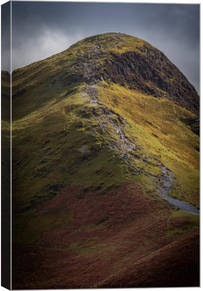 Cat Bells Canvas Print by Daniel James