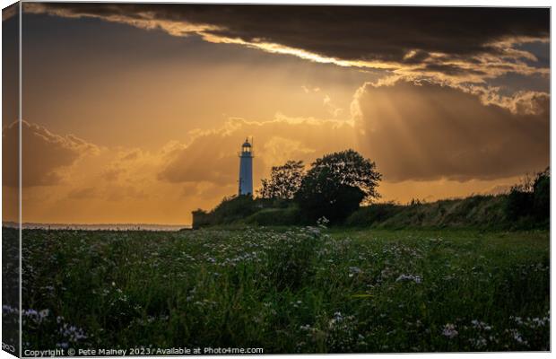 Hale Lighthouse Canvas Print by Pete Mainey
