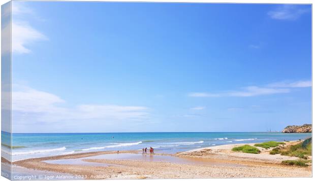 Beach Exploration Canvas Print by Igor Alifanov