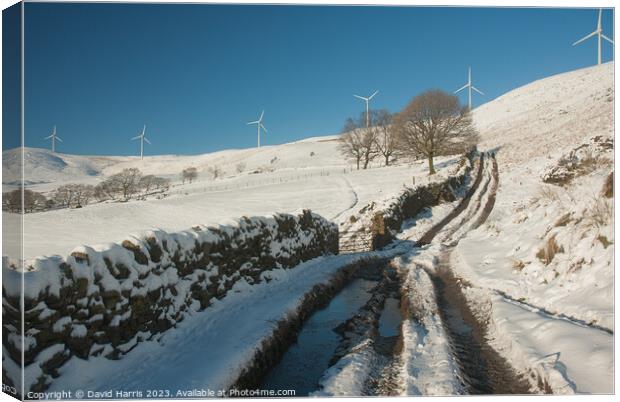 Walk to the Windfarm Canvas Print by David Harris