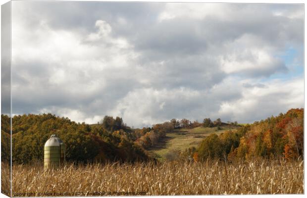 Outdoor field Canvas Print by Alex Fukuda