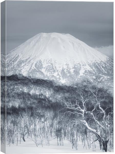 Mount Yotei Canvas Print by Alex Fukuda