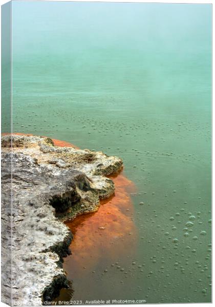 Wai-o-Tapu Thermal Canvas Print by Garry Bree