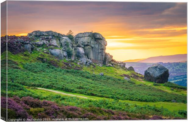 Ilkley Cow and Calf Sunset Canvas Print by Paul Grubb