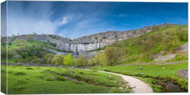 Malham Cove Canvas Print by Paul Grubb