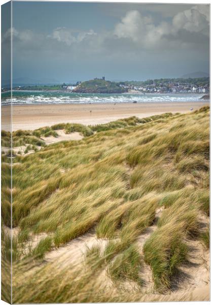 Black Rock Sands and Criccieth Canvas Print by Paul Grubb